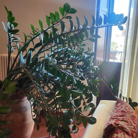 דירה Note Di Loft פלרמו